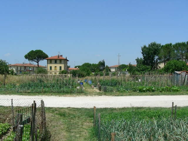 Il terreno in vendita a Castelfiorentino