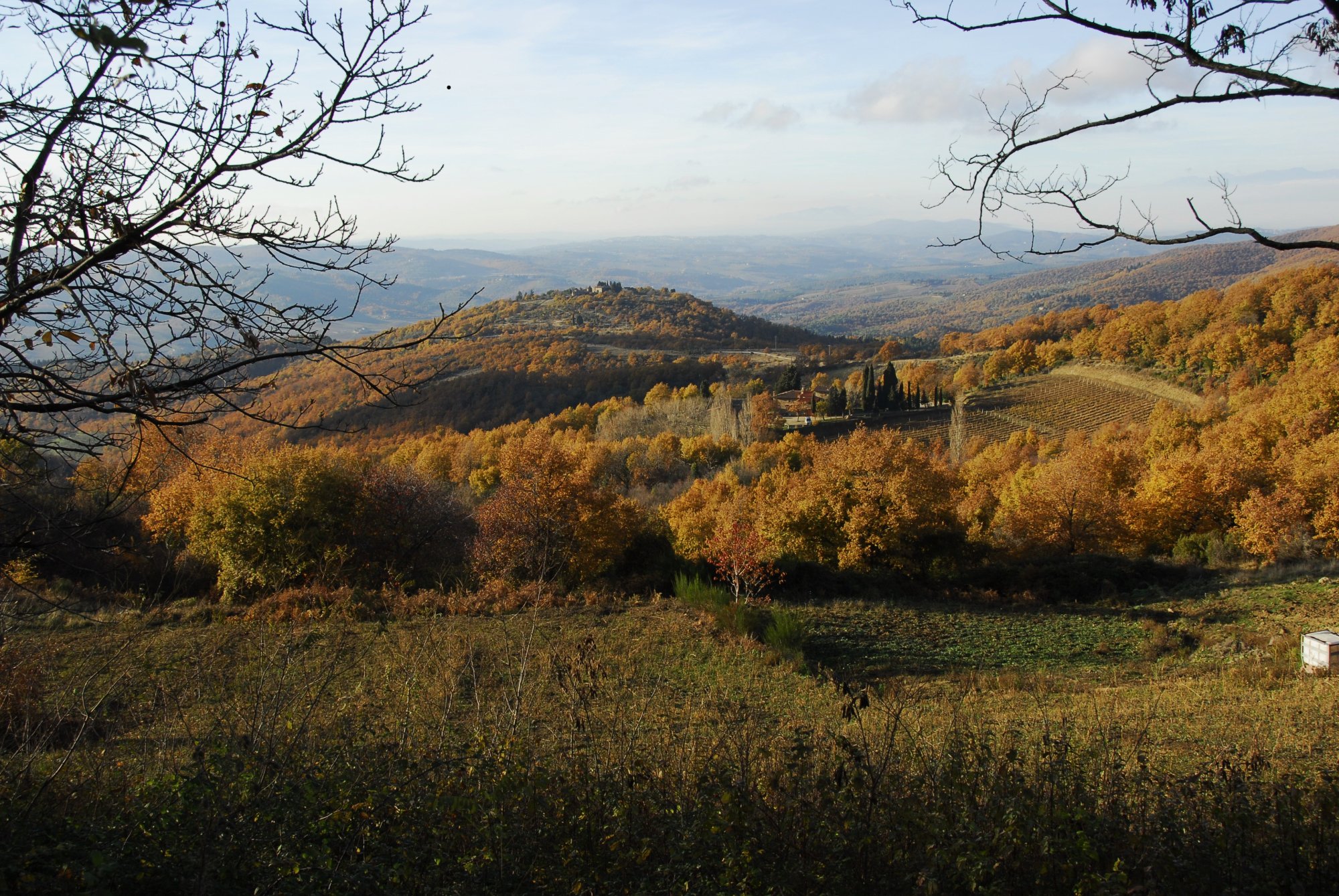 Immagini dal Parco di San Michele (Foto di Luca Cappelli)