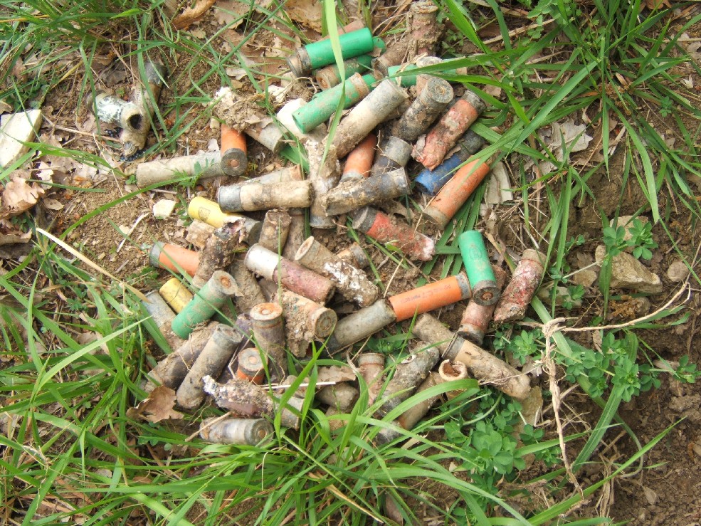 Alcune delle munizioni rinvenute dalla Polizia provinciale