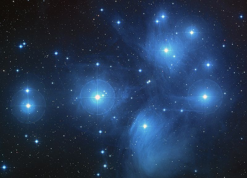L'ammaso delle Pleiadi, nella costellazione del Toro (Immagine da Wikimedia Commons)