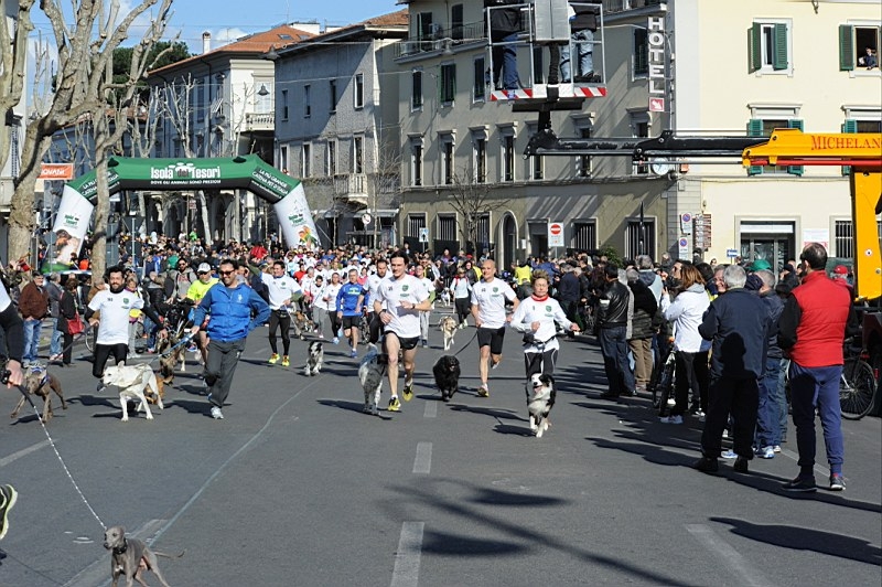 Maratonina Città di Prato (foto di Piero Giacomelli)