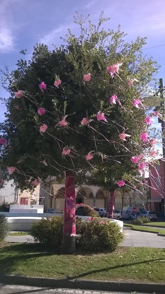 Piazza La Vergine in rosa