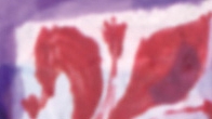 Bandiera della Fiorentina