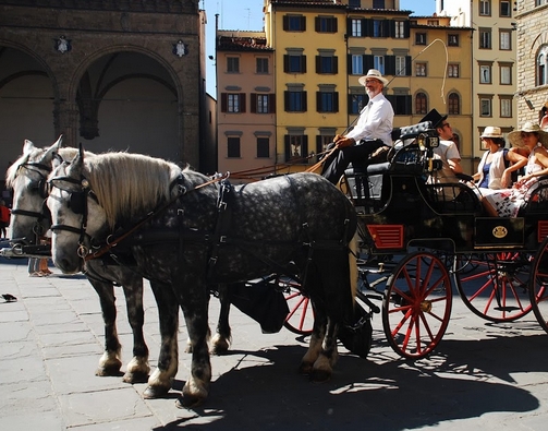Carrozzella a Firenze in una immagine dal sito intoscana.it