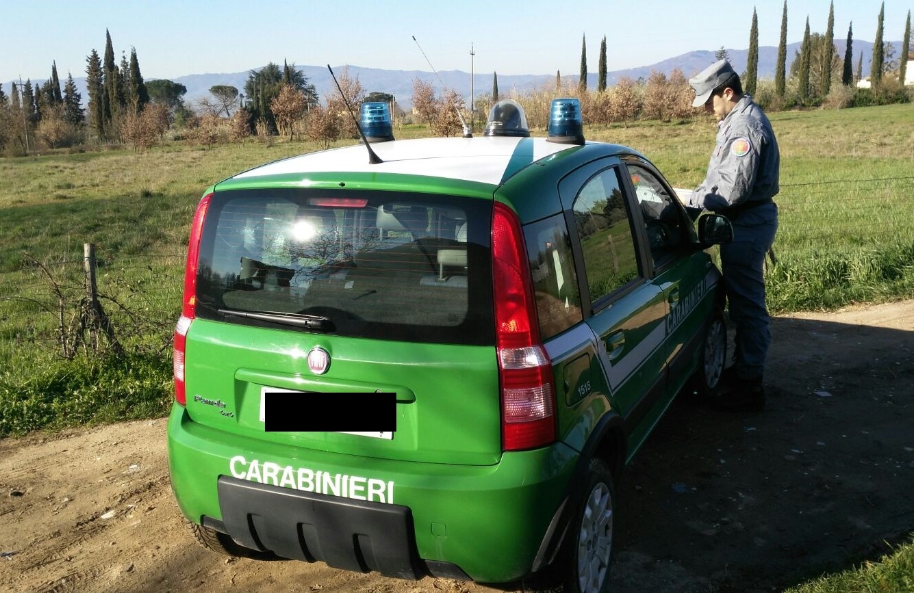 Carabinieri forestali (fonte foto comunicato stampa)