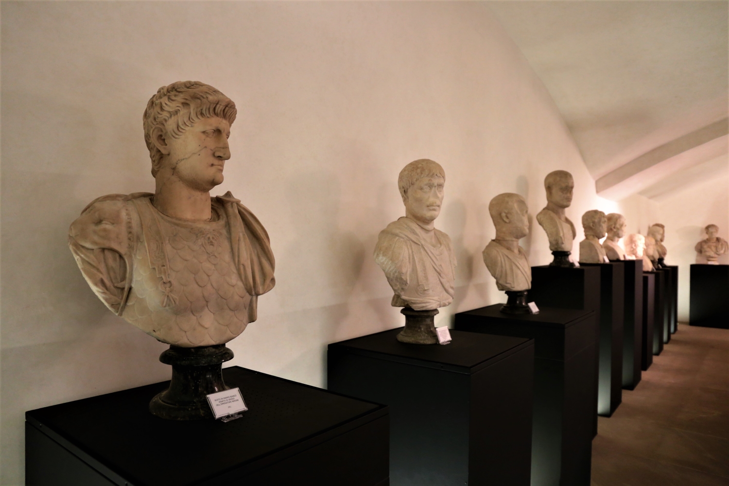 I nuovi busti nel Museo dei Marmi (foto di Antonello Serino, Ufficio Stampa - Redazione di Met)