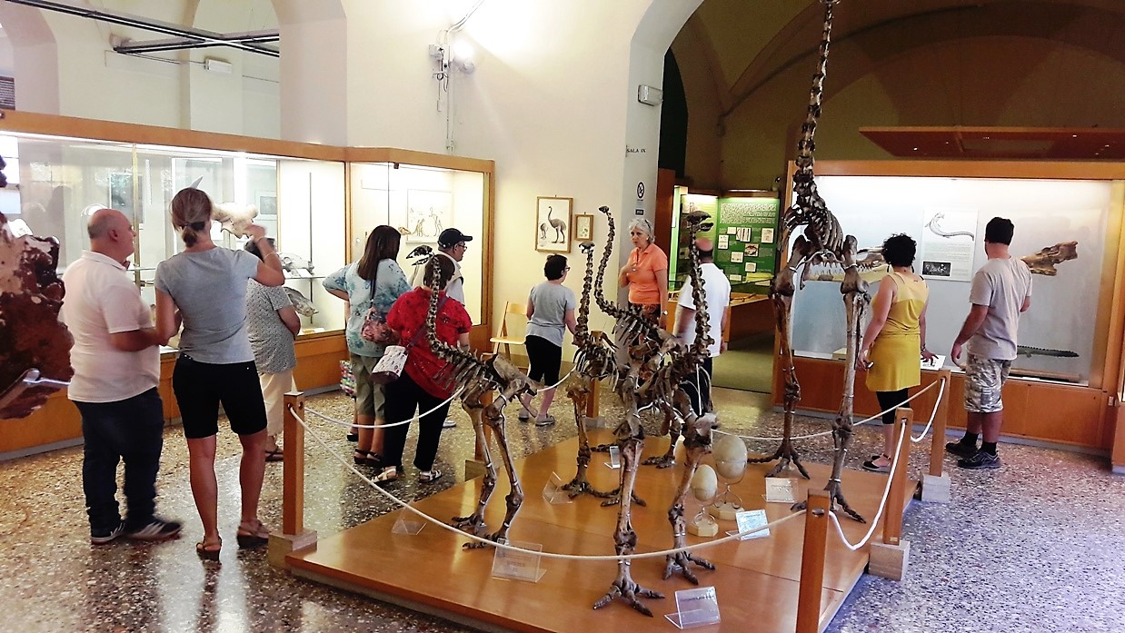 Visite gratuite al Museo di Storia Naturale di Firenze per le associazioni che si occupano di disabilita'