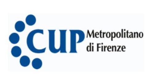 Logo Cup metropolitano
