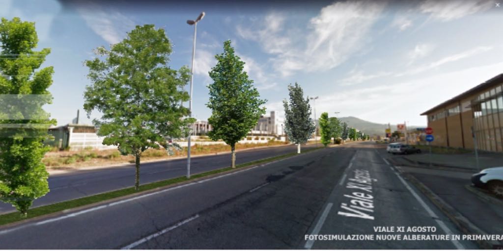 Quasi 300 alberi coloreranno presto di verde viale XI agosto 