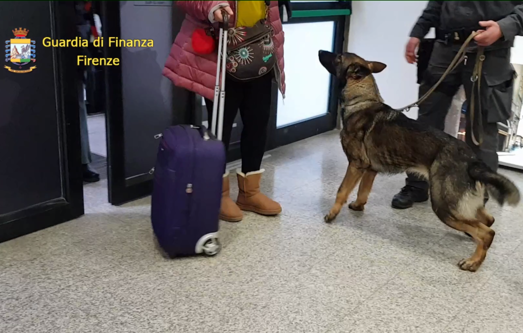Frame Video GdF Firenze - Operazione controlli corrieri della droga - Unità cinofile