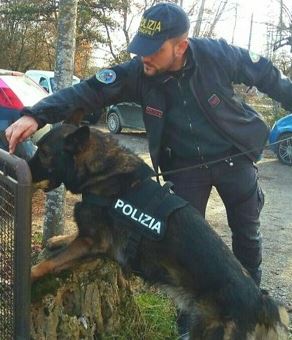 Il cane Amper