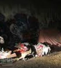 Accampamento senza fissa dimora (immagine Ronda della carita')