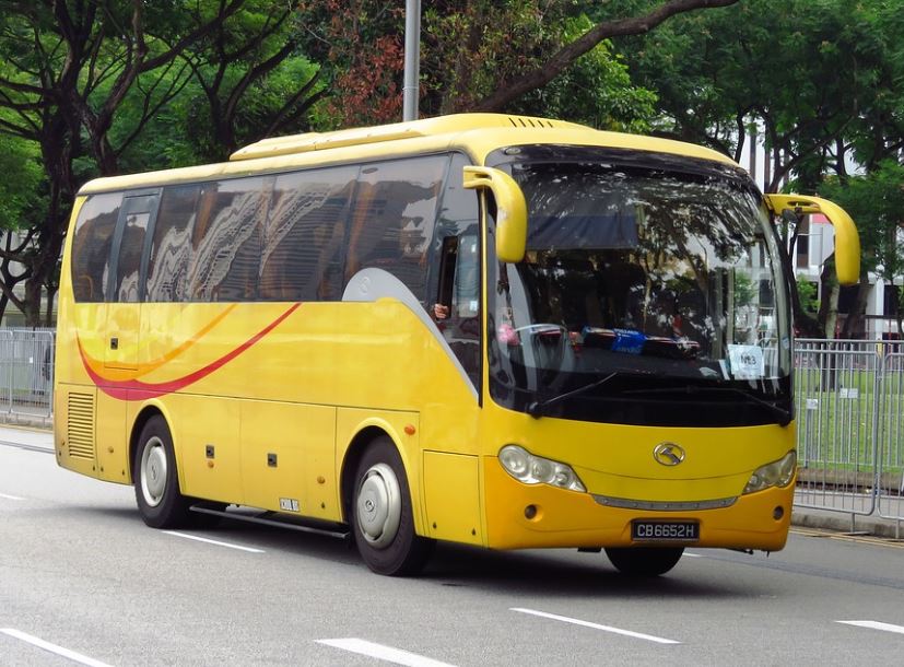 Bus Turistico (fonte foto free da internet)