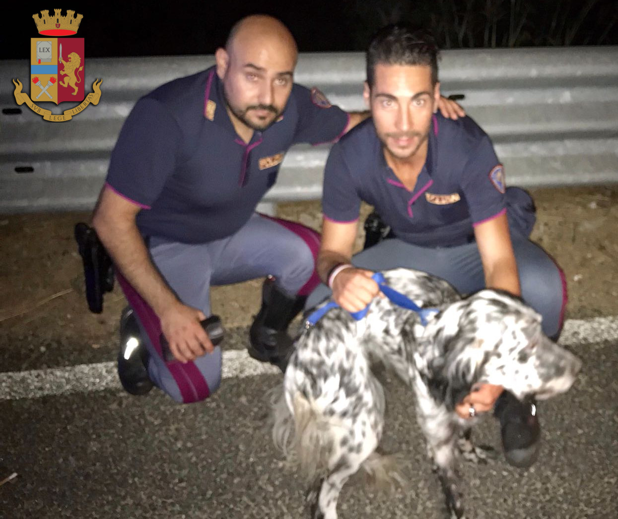 Cane salvato dalla Polizia Stradale di Pisa 