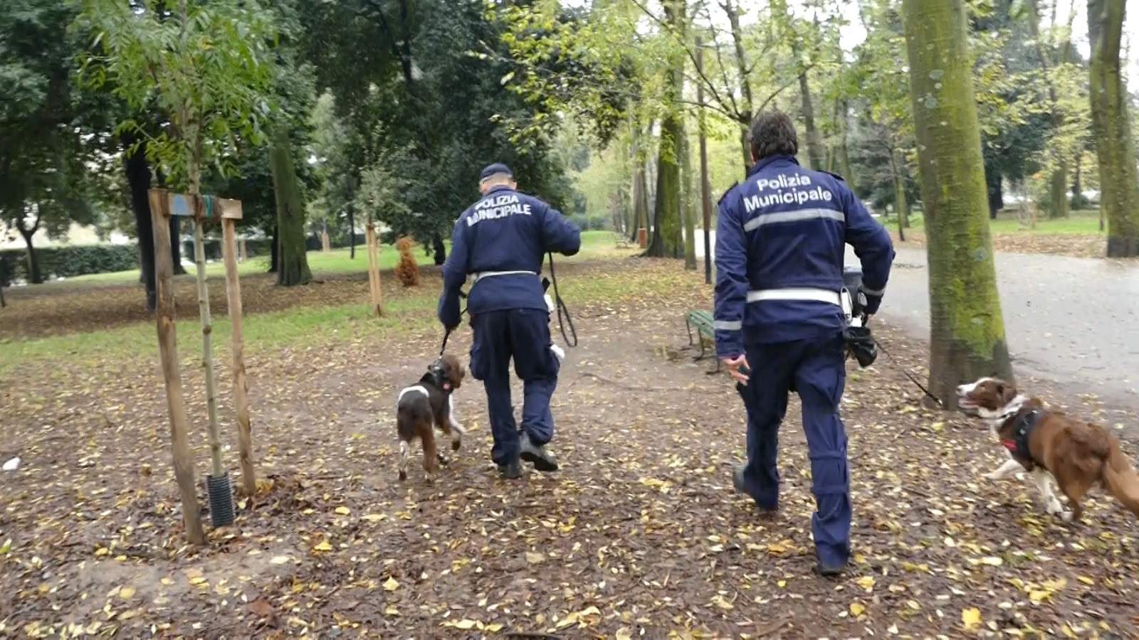 Ancora un successo per Piper