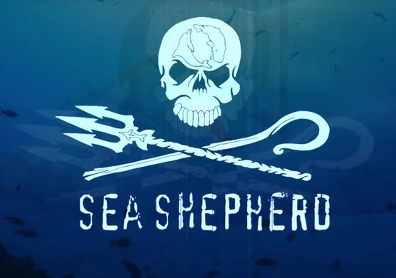 Bandiera di Sea Shepherd