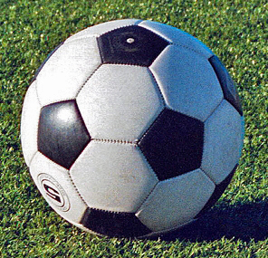 Pallone di calcio (fonte foto free da internet)