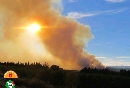Stato di attenzione per gli incendi boschivi (foto da Comunicato RT)