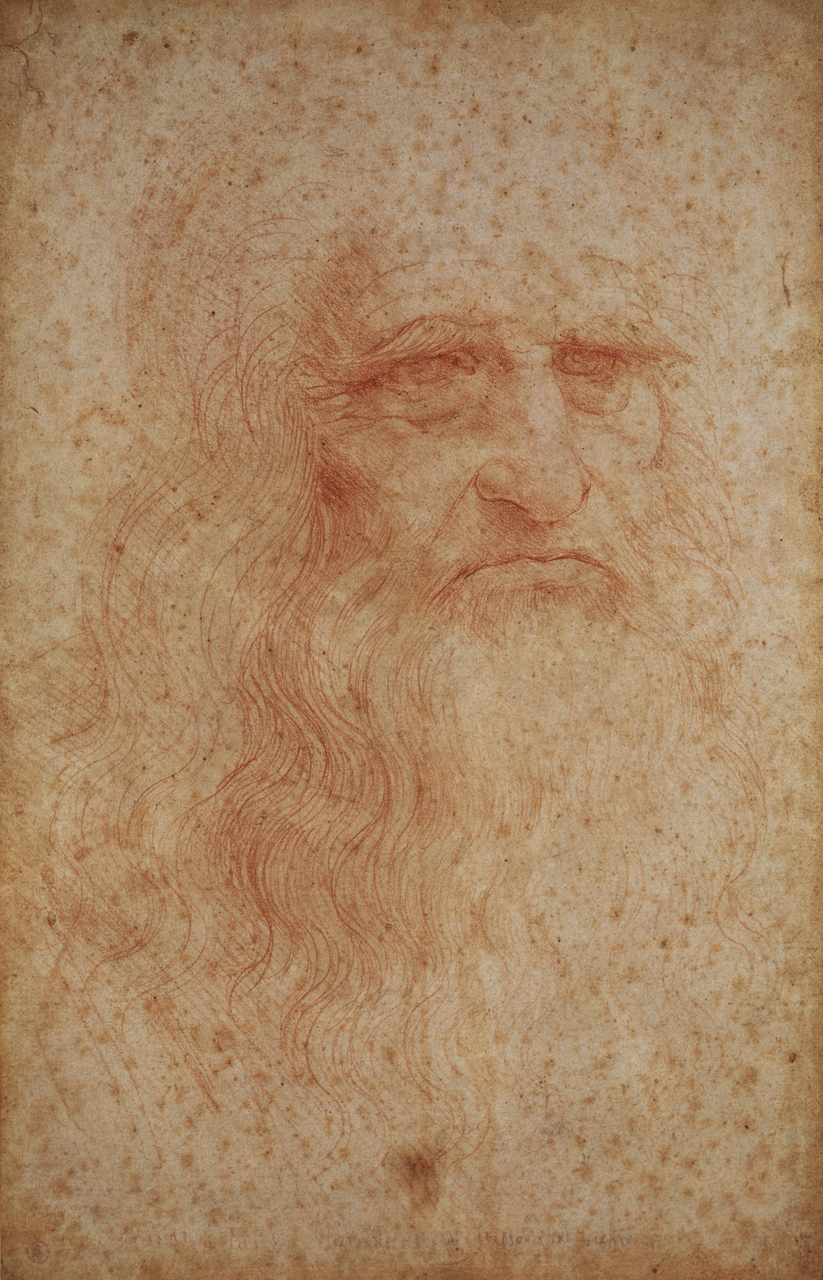 Autoritratto Leonardo a Torino