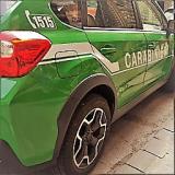 Carabinieri Forestali