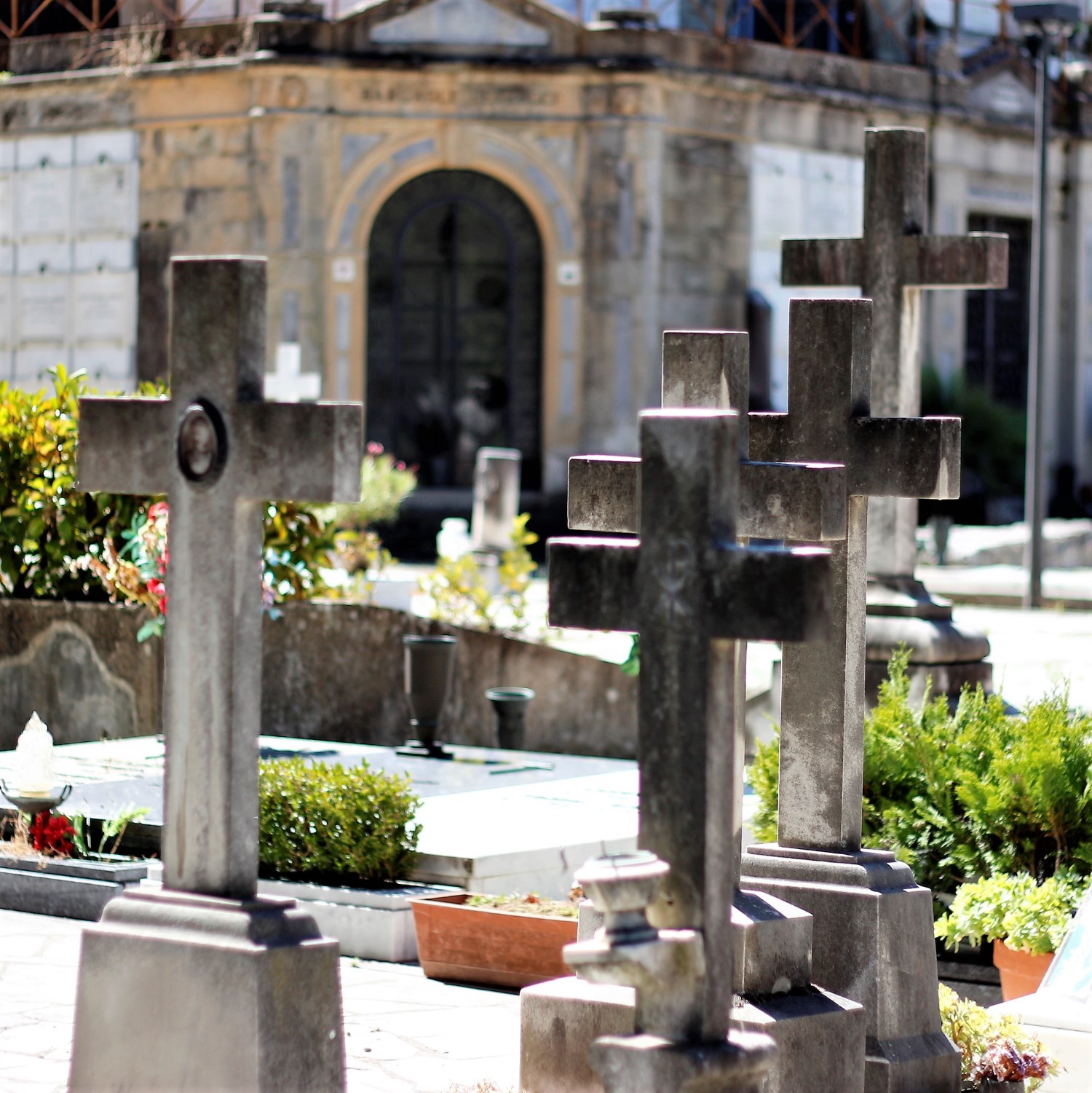 Cimiteri Pistoia (foto Antonello Serino Redazione MET)