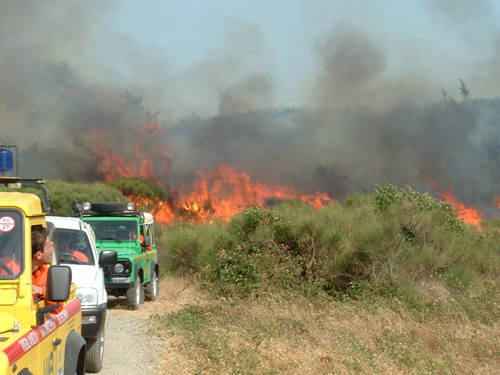 Incendi boschivi, prorogato il divieto di fare fuochi (FontefotoRegioneToscana) 