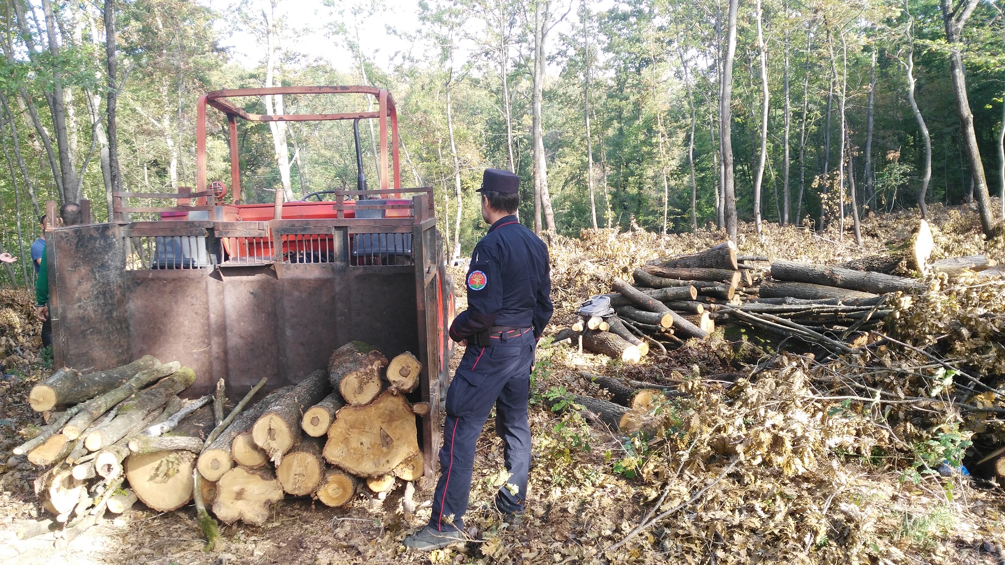 Controlli dei Carabinieri Forestali e del NIL nei cantieri forestali