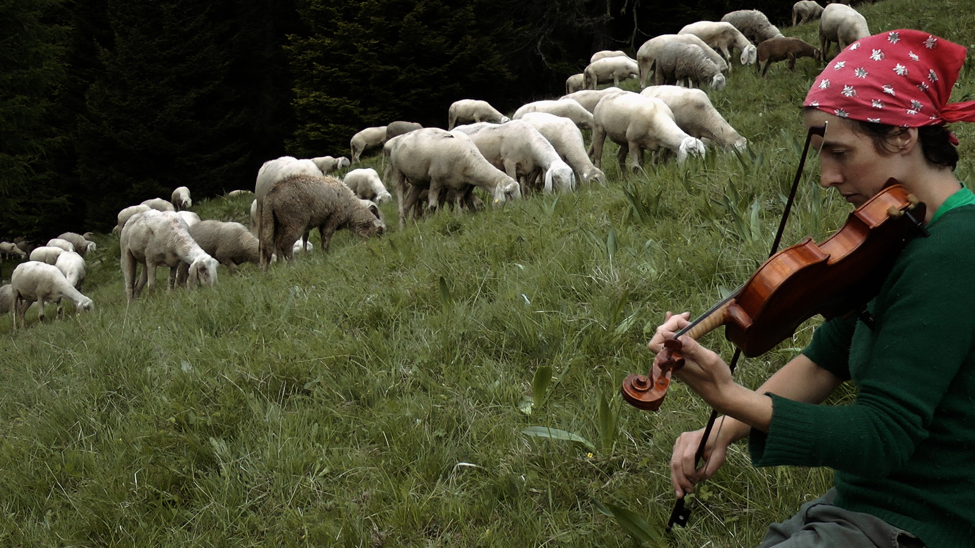 Un docufilm sulla vita delle donne pastore in Italia (Foto da comunicato)