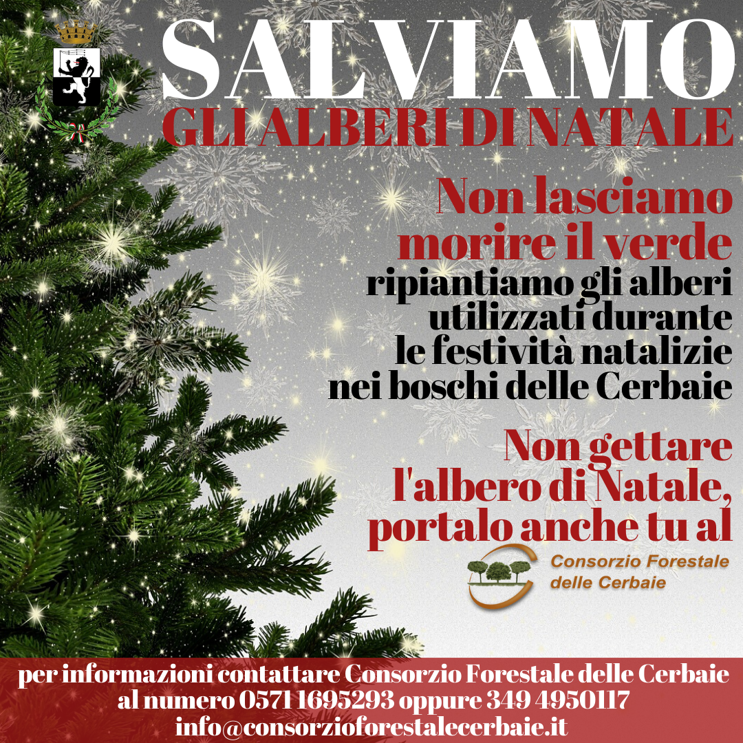 Comune di Fucecchio e Consorzio Forestale insieme per far rivivere gli alberi di Natale