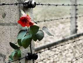 Immagine per il giorno della memoria sul sito del Comune di Firenze