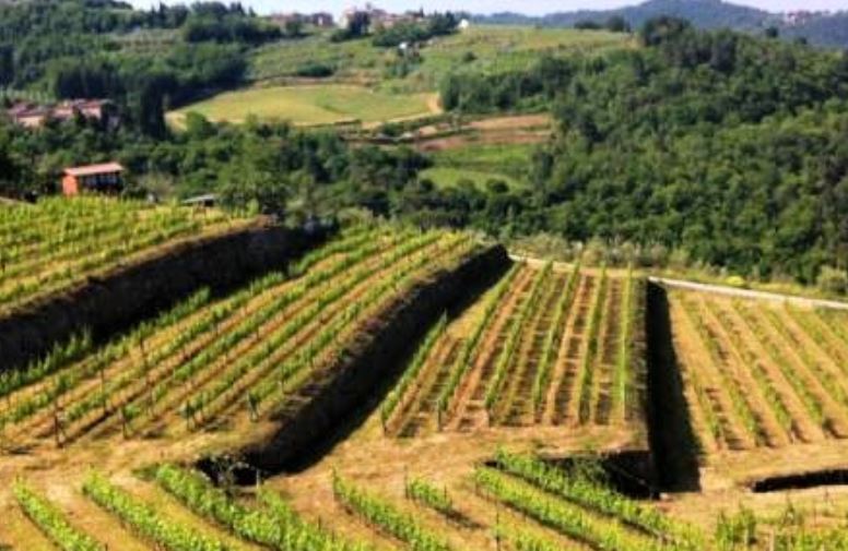 Sviluppo sostenibile, sono nove in Toscana i siti potenziali del patrimonio mondiale Fao 