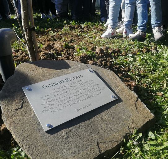 Lapide in memoria di Gemma Benelli