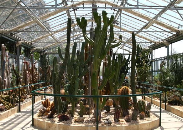 Orto botanico a Vico d'Elsa