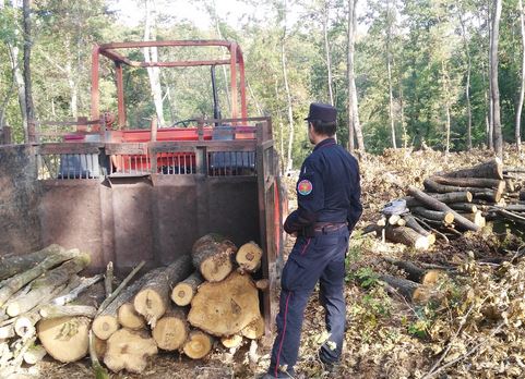 Controllo dei Carabinieri in cantiere forestale