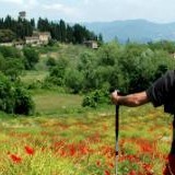 Turismo sostenibile, da Firenze a Siena in cammino sulla via Romea Sanese