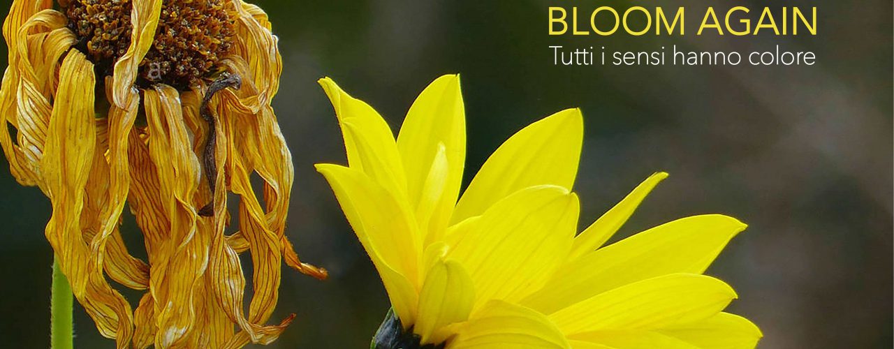 Bloom-Again-Toscana