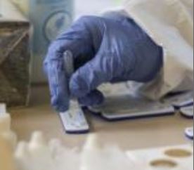 Esami di laboratorio, foto Comune di Fucecchio