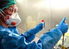 Coronavirus (Foto di repertorio)