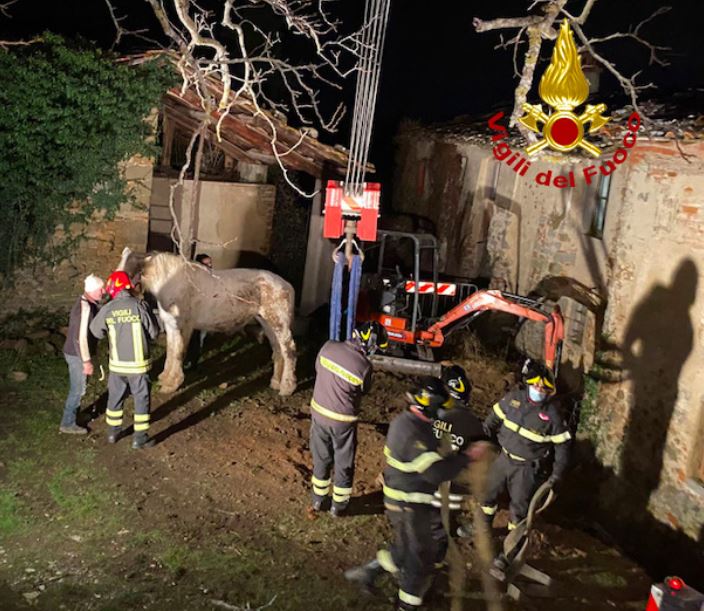 Recupero di un cavallo con la gru a Cancelli di Reggello