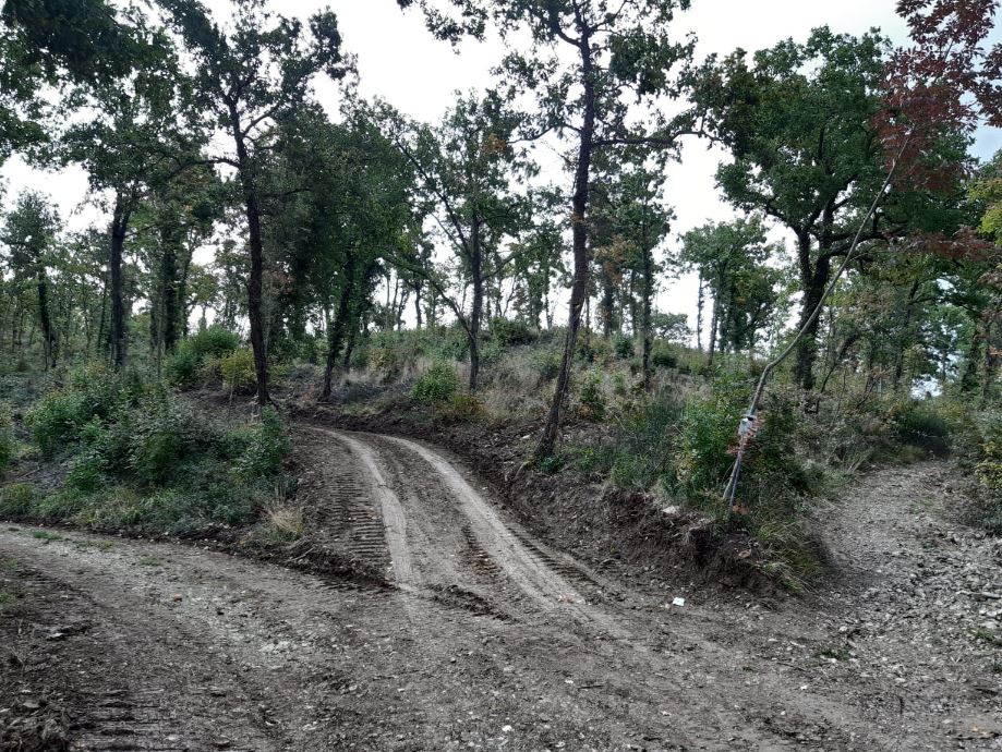 Pista forestale in area vincolata individuata dai Carabinieri forestali nel comune di Barberino Tavarnelle