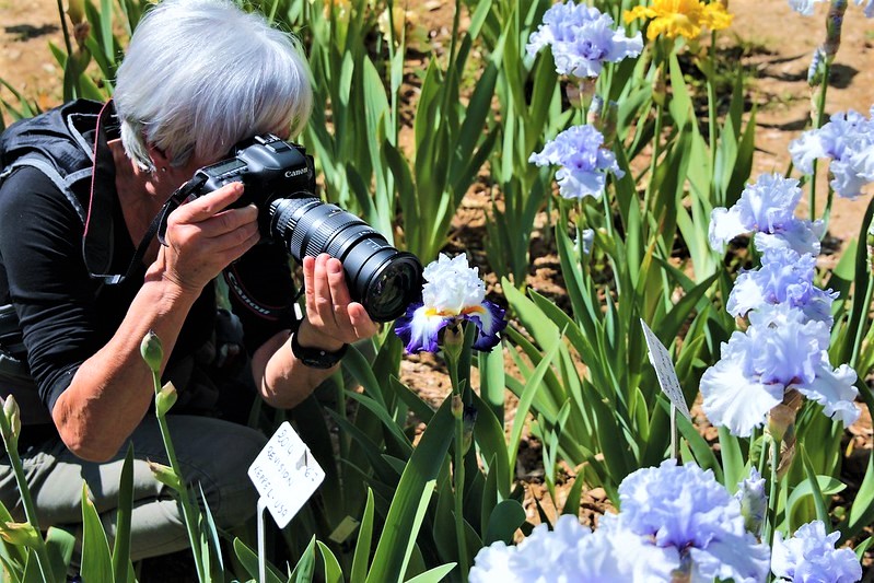 Giardino dell'Iris (foto archivio Antonello Serino)