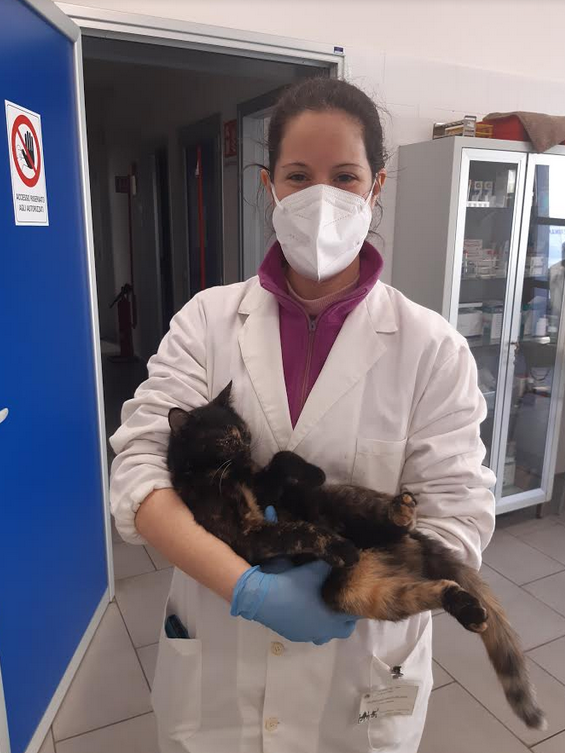 L'aumento degli amici a quattro zampe nelle nostre case (Fonte foto Ausl Toscana Centro)