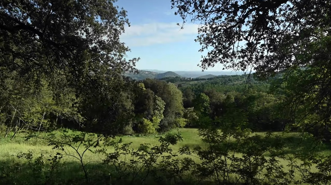 Il Parco di Pratolino (dal video di Ugo De Berti)
