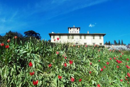 VillaMediceaPetraia(FonteMIC)