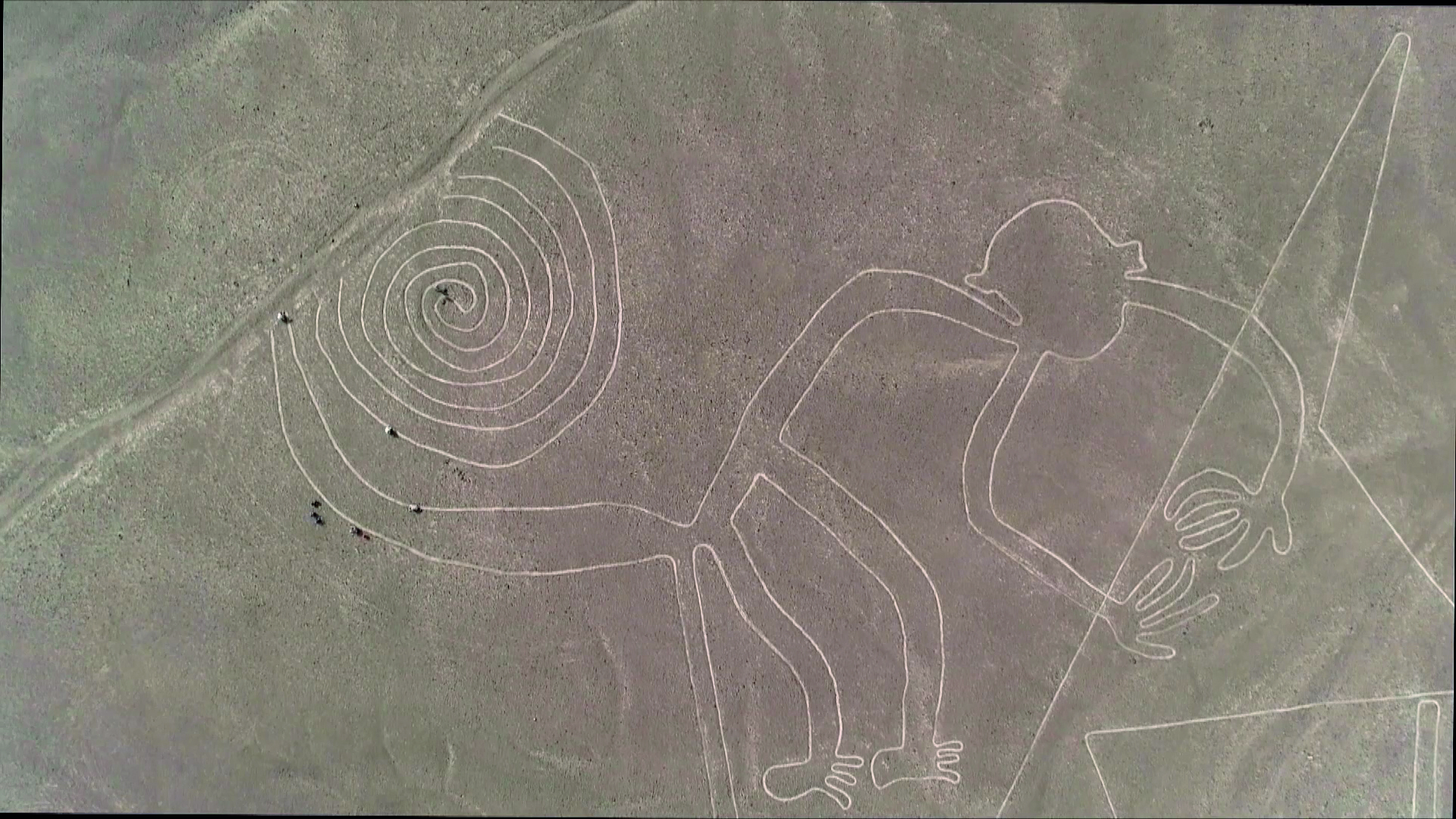 Nazca (Fonte foto Fondazione Sistema Toscana)