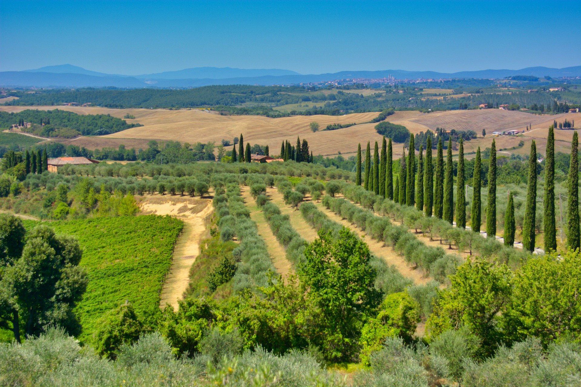 Agricoltura Toscana