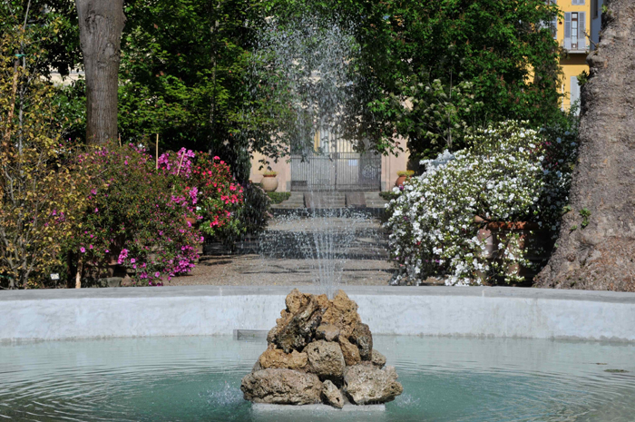 Orto Botanico, dettaglio della nuova vasca (Fonte foto Univerisità di Firenze)