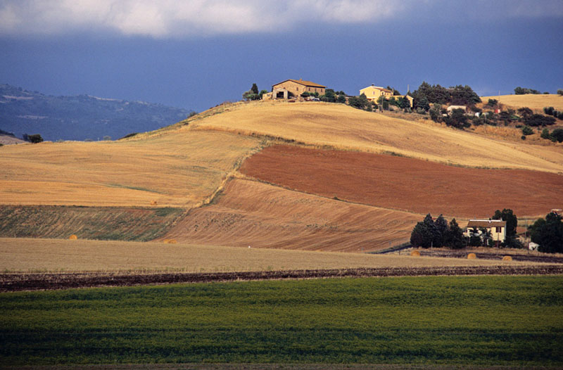Agricoltura, Sì della Ue a estensione del Psr (Fonte foto Regione Toscana)