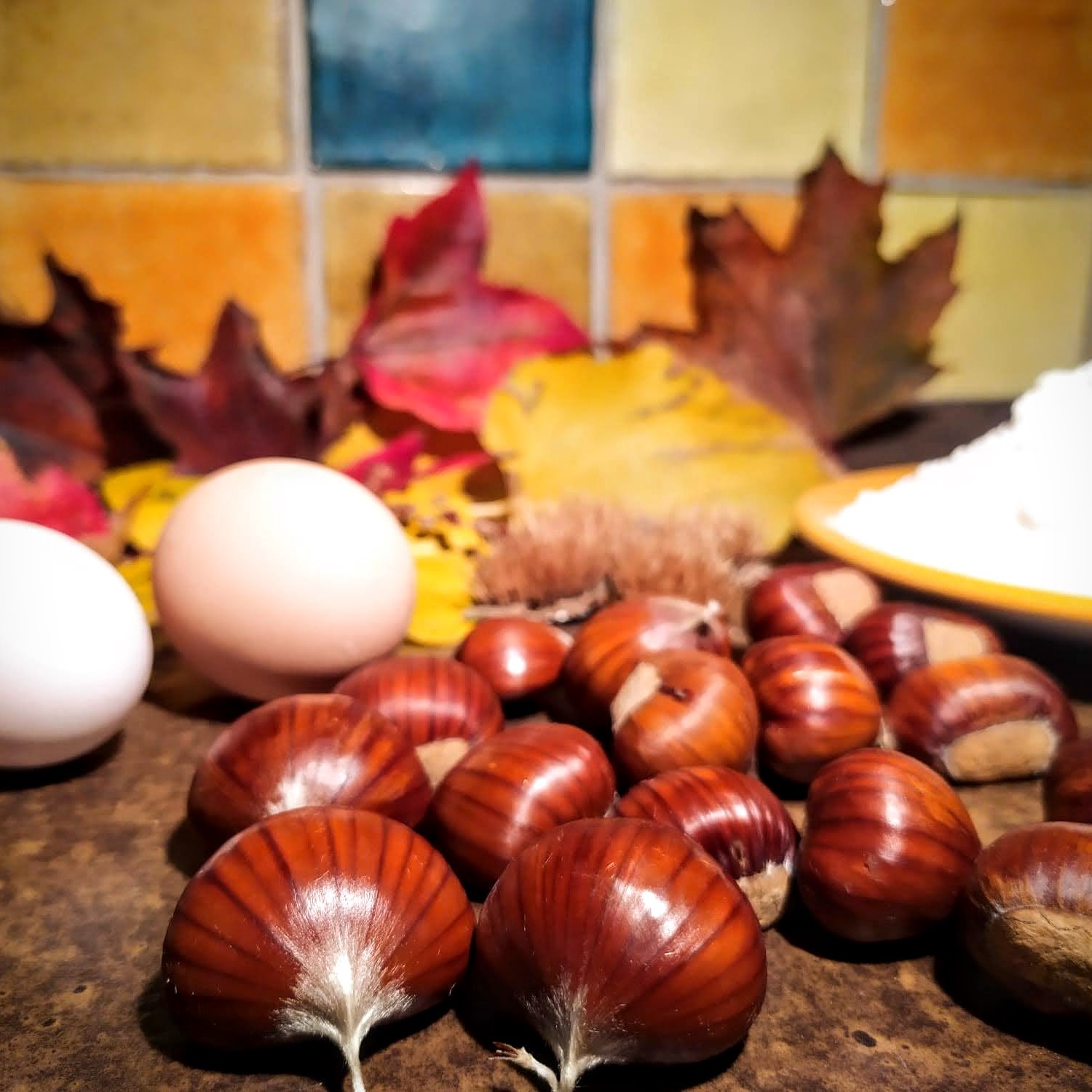 Sapori d’autunno e la cucina dell’Alto Mugello