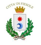 Logo Comune di Fiesole